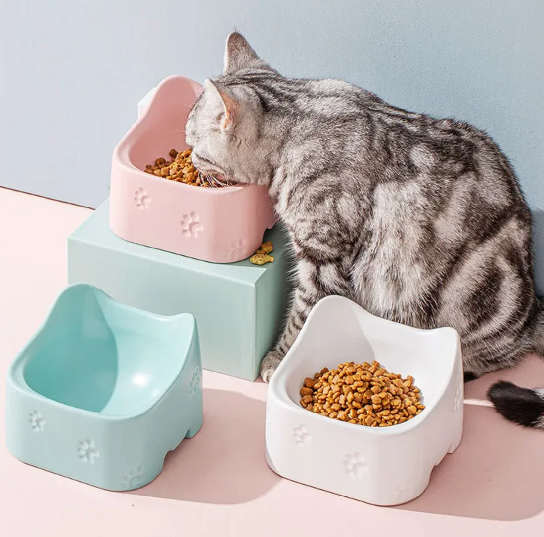 Choosing the Perfect Meal: A Guide to Your Cat’s Nutrition