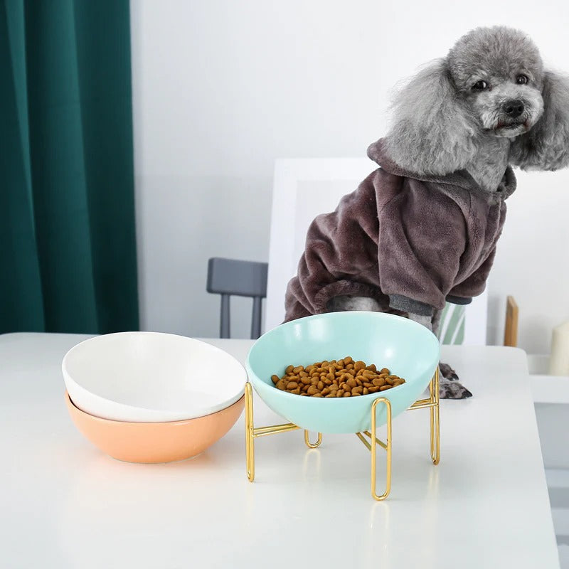 Why Your Pet Deserves an Elevated Dining Experience