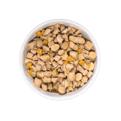 Hearty Canned Dog Stew – Variety Pack (Beef, Lamb & Carrot)