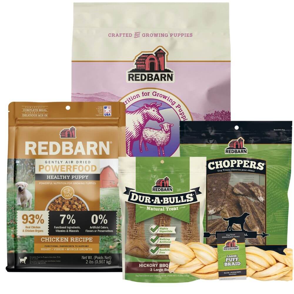 Whole Grain Puppy Value Pack – Premium Natural Chews & Food
