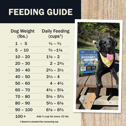 Air Dried Powerfood – Digestive Health Fish Recipe for Dogs